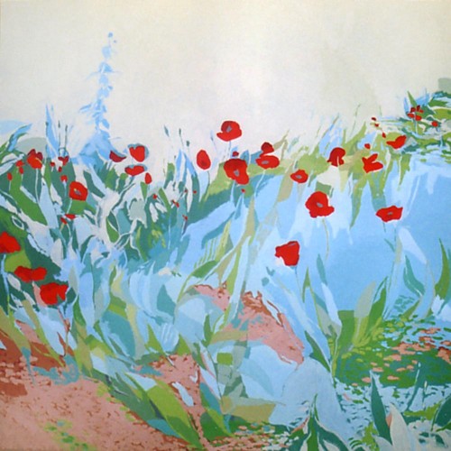 01.-AMAPOLAS